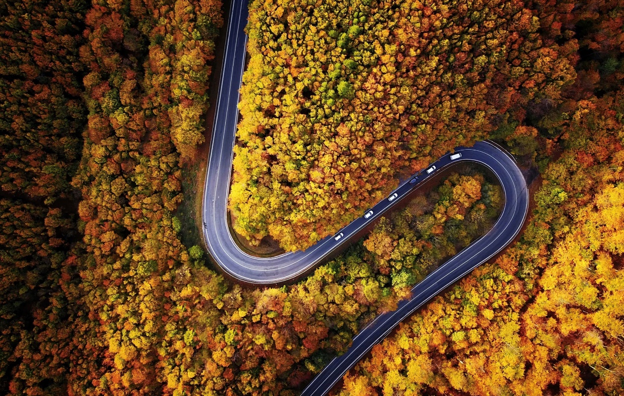 彎道雷達安全預警系統